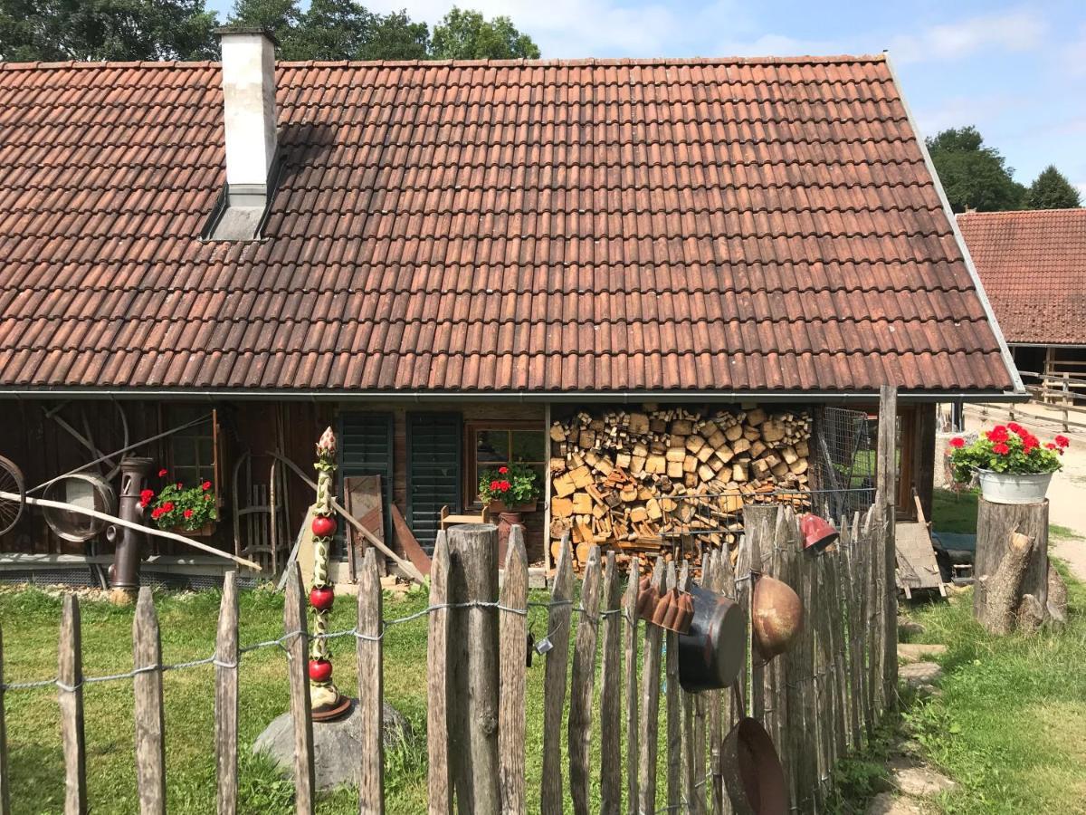 Getreidekasten Auf Einer Lamafarm Oberndorf an der Melk Extérieur photo